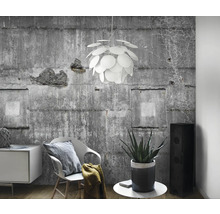 Salon lumineux avec mur en béton, chaise, commode, plante d''intérieur, haut-parleur et suspension ronde