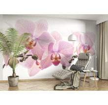 Fototapete Vlies Digitaldruck 838350 Magic Walls Orchideen rosa 8-tlg. 424 x 265 cm