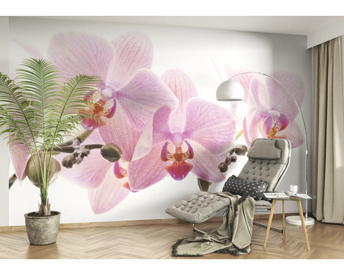 Wohnzimmer mit Orchideen-Fototapete, Sessel, Stehlampe und Topfpflanze