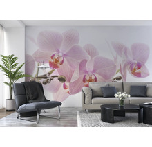 Fototapete Vlies Digitaldruck 838350 Magic Walls Orchideen rosa 8-tlg. 424 x 265 cm