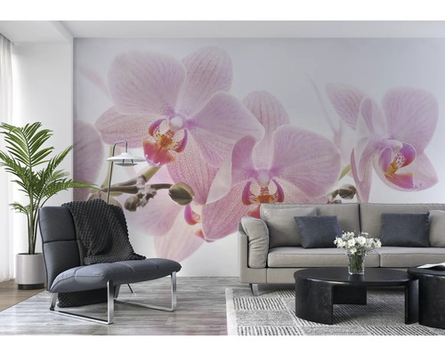 Wohnzimmer mit Wandbild mit Orchideenmotiv, Sessel, Sofa und Tisch.