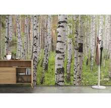 Scène avec commode et papier peint forêt de bouleaux