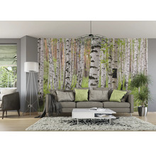 Salon avec papier peint forêt de bouleaux, canapé, lampe et tapis pour une ambiance naturelle