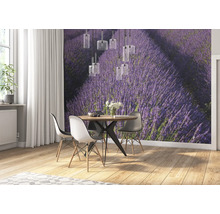 Papier peint panoramique intissé impression numérique 890204 Magic Walls Lavande violet 7 pces 371 x 265 cm