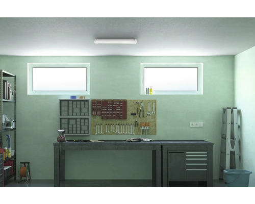 Atelier avec établi, mur d''outils, étagères et fenêtres