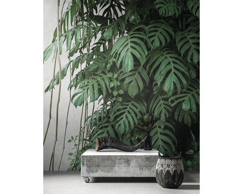 Papier peint photo avec motif de plantes, décoration sur socle et panier