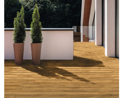 Aussenbereich mit Holzterrasse und zwei Pflanzen in Pflanzgefässen