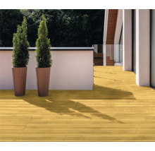 RENAULAC Terrassenöl seidenmatt douglasie 2.5 l