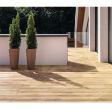 Terrasse mit Holzdielen und zwei Zypressen in Pflanzgefäßen