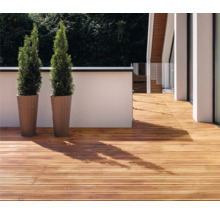 RENAULAC Terrassenöl seidenmatt bangkirai 2.5. l