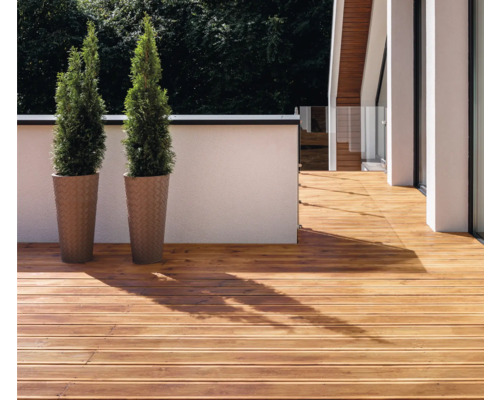 Extérieur avec terrasse en bois et deux cyprès en pots