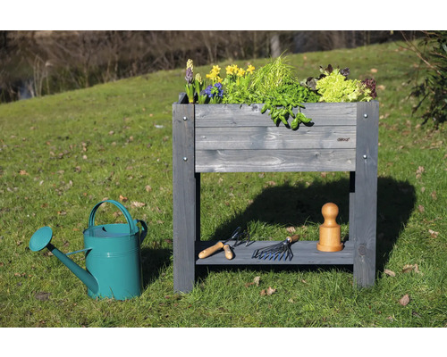 Jardinière surélevée en bois avec plantations et outils de jardin sur pelouse