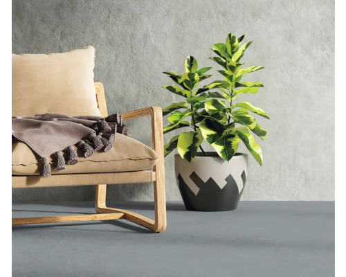 Pièce avec fauteuil, plante et jeté décoratif