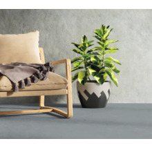 Innenraum mit Sessel, Decke und Zimmerpflanze im Topf