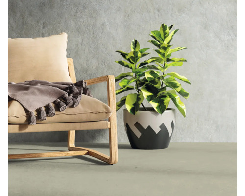 Scène d''intérieur décorative avec fauteuil, plaid et plante d''intérieur en pot.