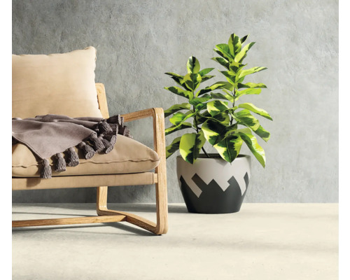 Fauteuil avec coussin et couverture à côté d''une plante en pot