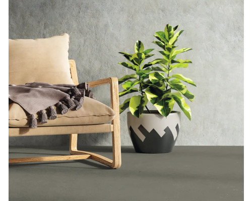 Fauteuil avec coussins et jeté ainsi que plante d''intérieur en pot