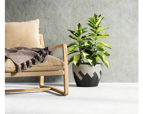 Intérieur décoratif avec fauteuil, couverture et plante d''intérieur en pot