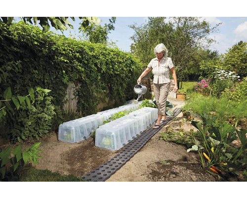 Frau giesst Pflanzen unter einem Frühbeet im Garten.