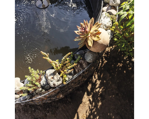 Nahaufnahme eines Gartenteichs mit Gabionenumrandung, Steinen und Pflanzen