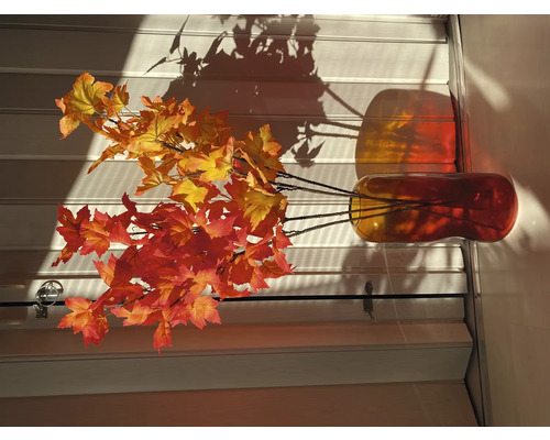 Branches décoratives avec feuillage d''automne dans un vase en verre