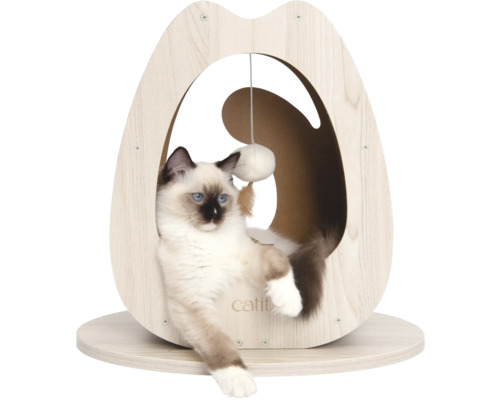 Chat dans une niche pour chat avec jouet