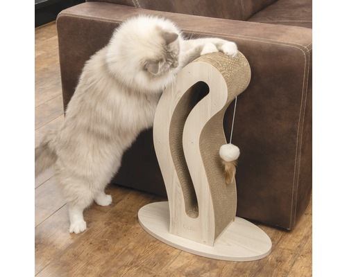 Chat sur un arbre à chat en bois et carton avec jouet