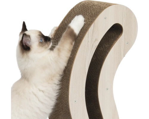 Chat grattant un arbre à chat en carton avec un cadre en bois