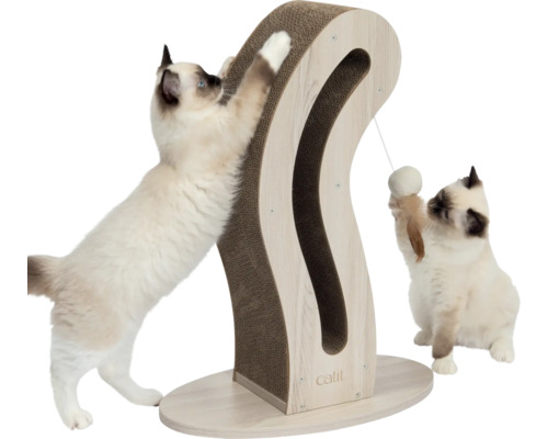 Chats jouant avec un arbre à chat avec cadre en bois et surface à gratter en carton