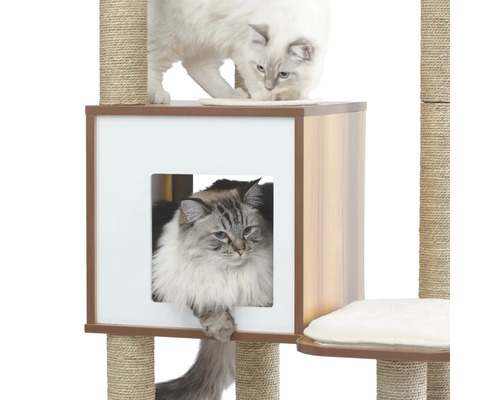 Katzenkratzbaum mit Katzen