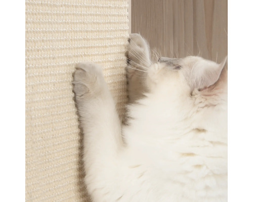 Nahaufnahme einer Katze, die an einem Kratzbaum kratzt