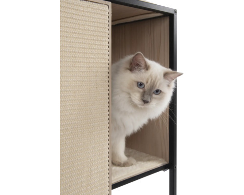 Katze in einem Katzenhaus mit Kratzfläche