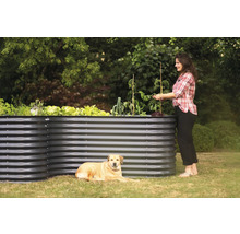 Hochbeet aus Metall mit Pflanzen, Frau und Hund im Garten.