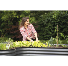 Frau pflegt Salat in einem Hochbeet im Garten.