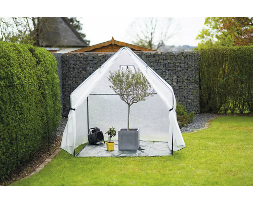 Jardin avec tente pour plantes, chauffage soufflant et plantes