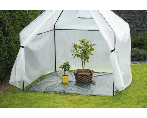 Petite serre avec des plantes dans le jardin