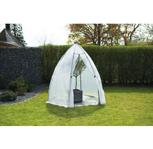 Gartenszene mit einem Folientunnel, der eine Pflanze schützt.