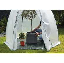 Pflanzzelt mit Person, Baum im Topf und Pflanze im Topf im Garten