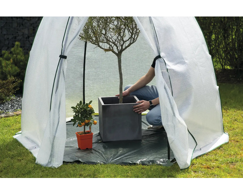 Tente de culture avec personne, arbre en pot et plante en pot dans le jardin