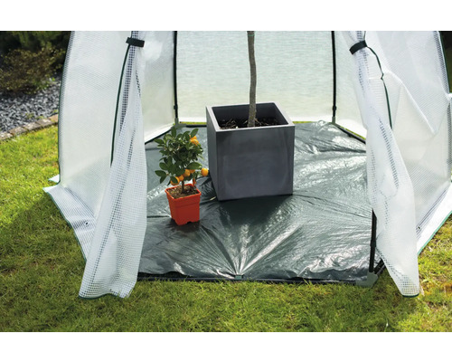 Serre avec plantes en pot et grand bac à plantes dans le jardin