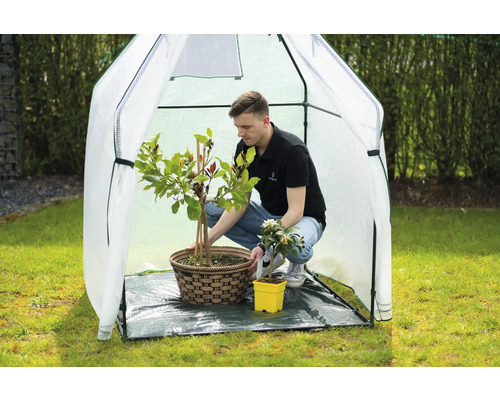 Serre avec homme et plantes en pot dans le jardin.