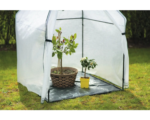 Serre avec des plantes dans le jardin.