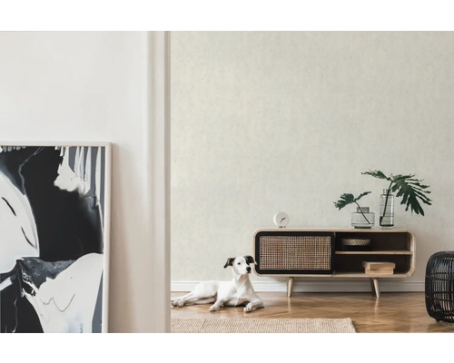 Pièce claire avec papier peint à motifs, commode, décoration et chien