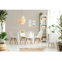 Helles Esszimmer mit Esstisch, Stühlen, Lampe, Regal und Pflanzen