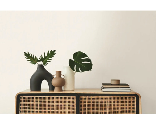 Dekorative Vasen und Bücher auf einem Schrank mit Rattan-Front