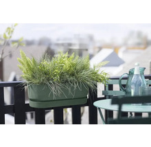 Jardinière sur un balcon avec table et chaise