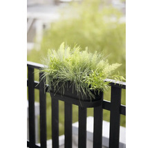 Une jardinière de balcon noire avec des plantes suspendue à une balustrade.