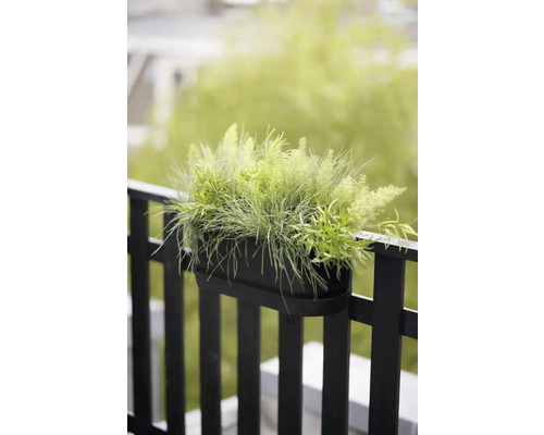 Une jardinière de balcon noire avec des plantes suspendue à une balustrade.