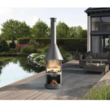 Espace extérieur avec cheminée d''extérieur, étang et mobilier de jardin