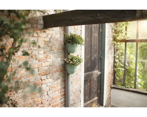 Zwei bepflanzte Blumentöpfe an einer Regenrinne vor einer Ziegelwand